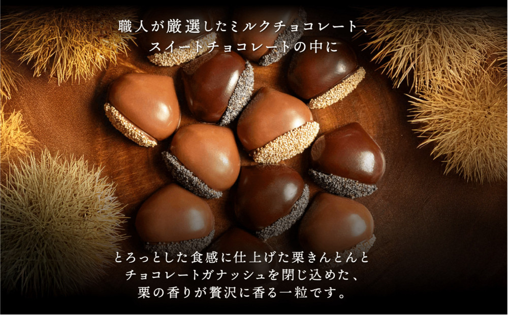 栗りん 【11月上旬から順次発送】まるで栗のような贅沢チョコレート「 ぜいたく一粒 栗きんとんちょこら 」栗きんとん × チョコレート プレゼント スイーツ ギフト 栗きんとん チョコ 送料無料 お取り寄せ 和栗スイーツ 和栗