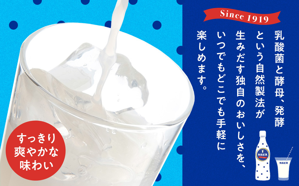 アサヒカルピスウォーターPET5０0ml　24本入　1ケース