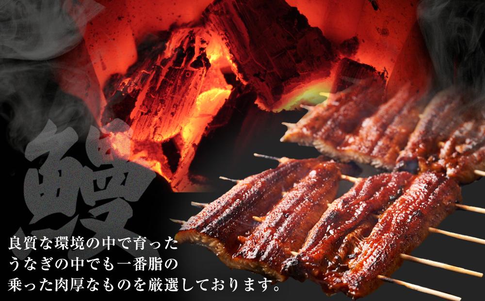 国産特大うなぎ　ひつまぶしセット　（２セット） | 鰻 うなぎ ひつまぶし ひつまぶしセット 名物料理 国産うなぎ 炭火焼き 贅沢 グルメ 人気 おすすめ 蒲焼き タレ付き ご飯のお供 土用丑の日 夏ギフト 送料無料