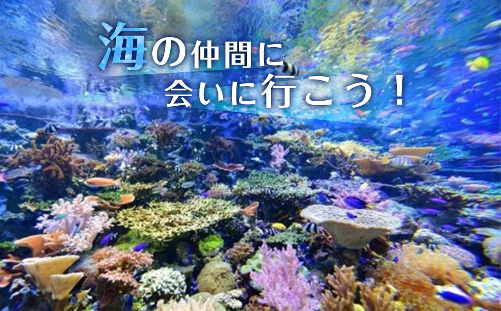 名古屋港水族館入館券（大人、小中学生入館券）