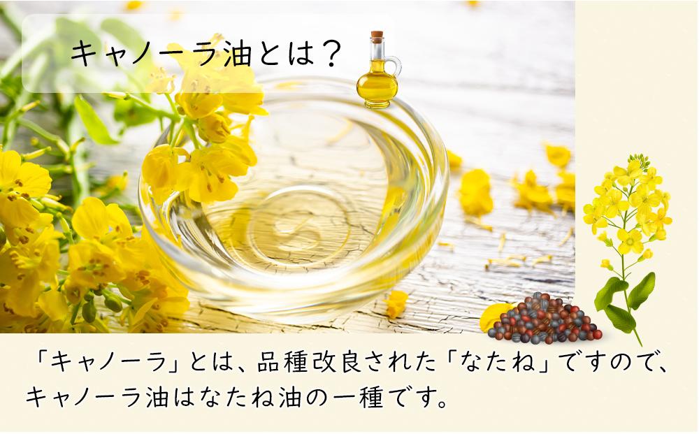 日清 キャノーラ油 8kg (1,000g×8本)