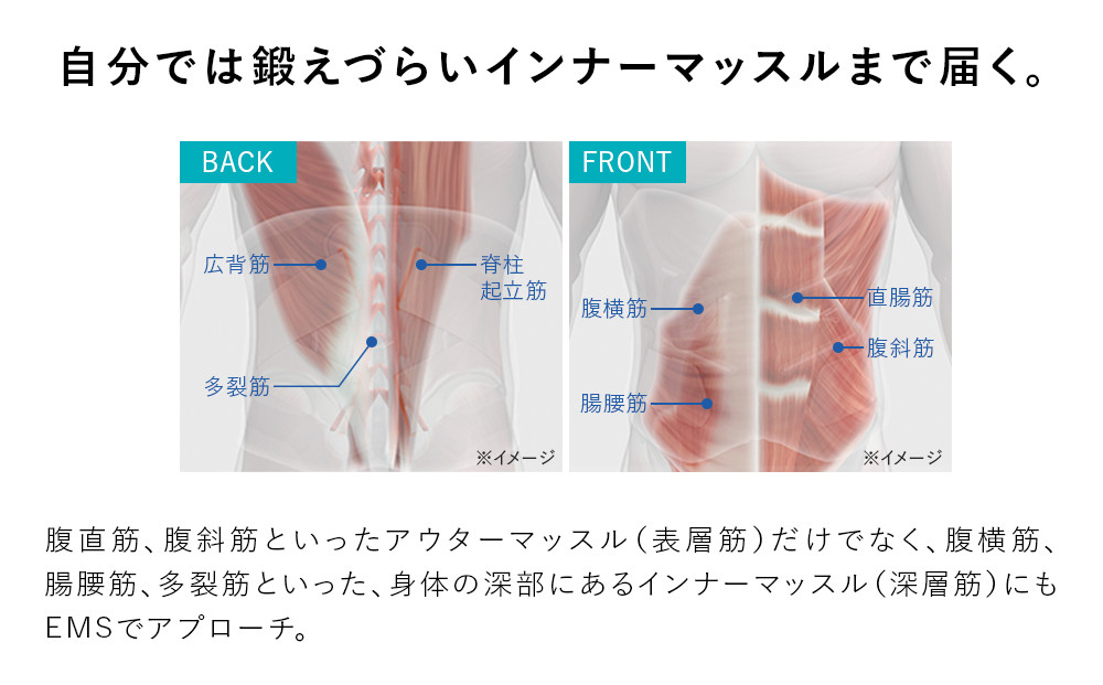 SIXPAD Medical Core【Lサイズ】: 名古屋市ANAのふるさと納税