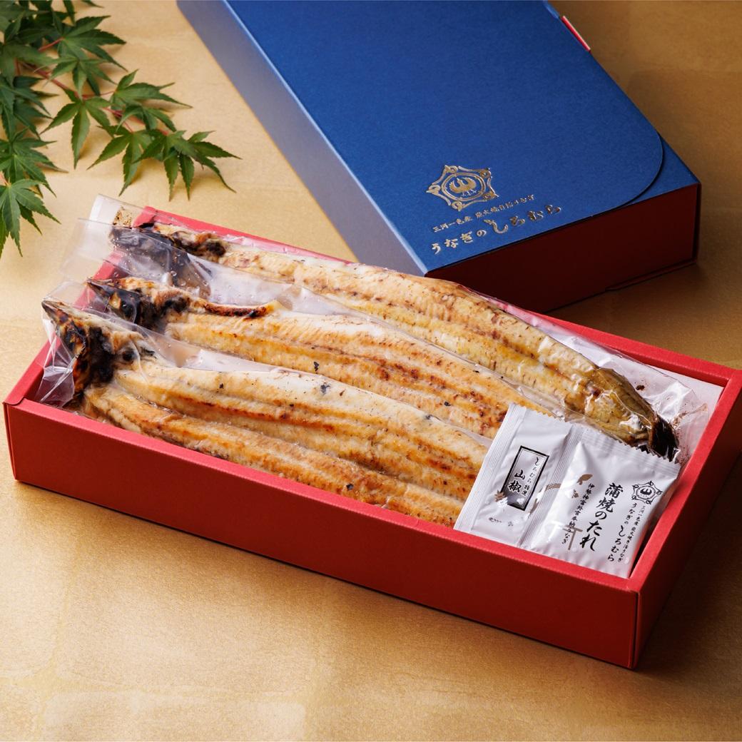 三河一色産手焼き炭火焼き活うなぎ白焼き　3尾セット