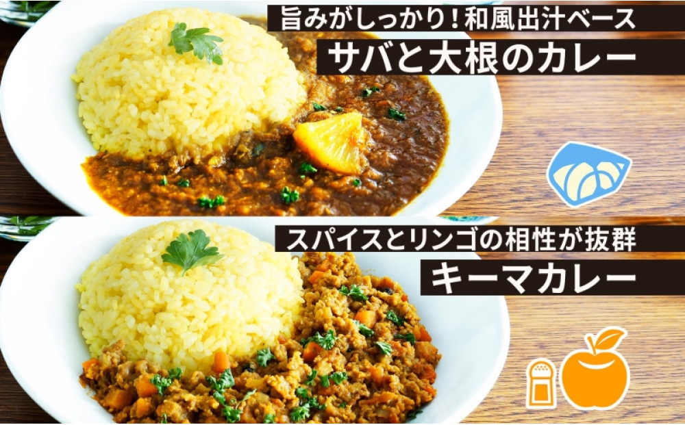 コーノスパイス スパイスカレー3種セット チキンカレー サバと大根のカレー キーマカレー 各200gパック 小麦粉不使用 グルテンフリー CONO SPICE コーノコーラ 愛知県 名古屋市