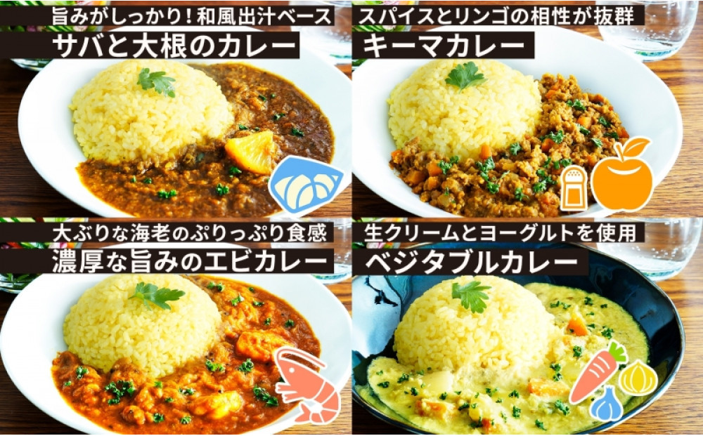 コーノスパイス スパイスカレー5種セット チキン サバと大根 キーマ エビ ベジタブル 各200gパック 小麦粉不使用 グルテンフリー CONO SPICE コーノコーラ 愛知県 名古屋市
