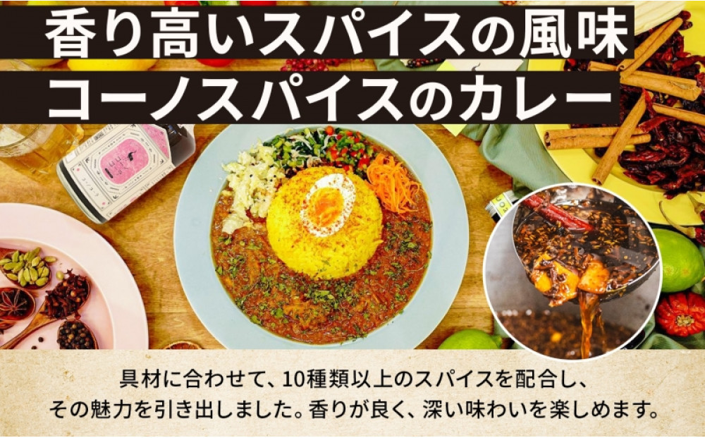 コーノスパイス エビカレー 200g×3パック スパイスカレー たっぷり海老 エビソース 小麦粉不使用 グルテンフリー スパイシー カレーライス CONO SPICE コーノコーラ 愛知県 名古屋市