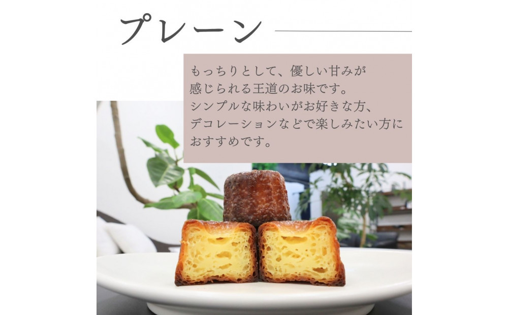 【星が丘カヌレ プレーン10個入り】フランスの焼き菓子 スイーツ 美味しい おすすめ 冷凍 愛知県 人気 高級