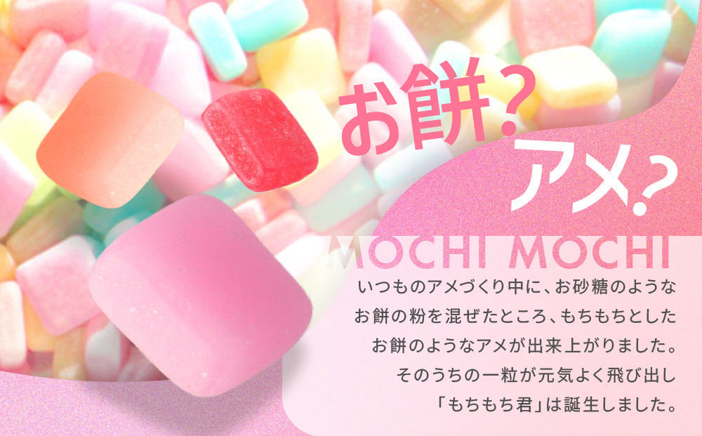 ＼年末感謝祭／駄菓子の定番 もちもち君 コレクション （collection）16種類×2個 【今だけ特別規格】 | 名古屋市 ふるさと納税 感謝祭 駄菓子 お菓子 おかし 餅 もち キャンディ