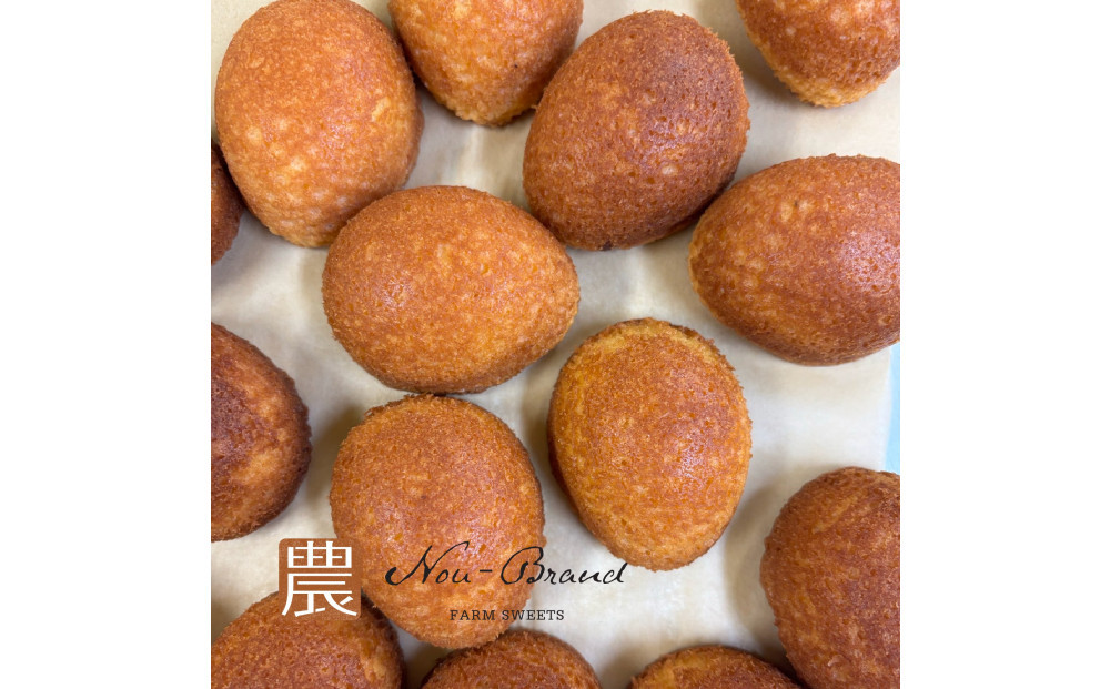 名古屋コーチン卵　カステラ（10個入り）