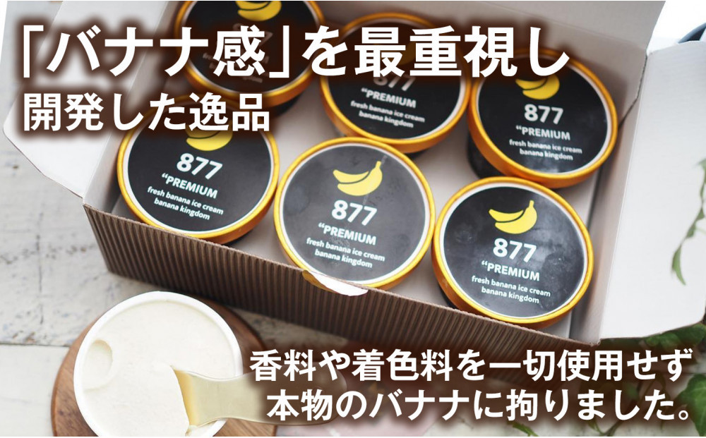 【定期便2ヶ月】【果実のままの甘み】プレミアム生バナナアイスクリーム 6個セット｜冷凍スイーツ 濃厚 なめらか ひんやり デザート おやつ ご褒美 おしゃれ プレゼント 手土産 お祝い 女性向け おうちカフェ お取り寄せ 愛知県 名古屋