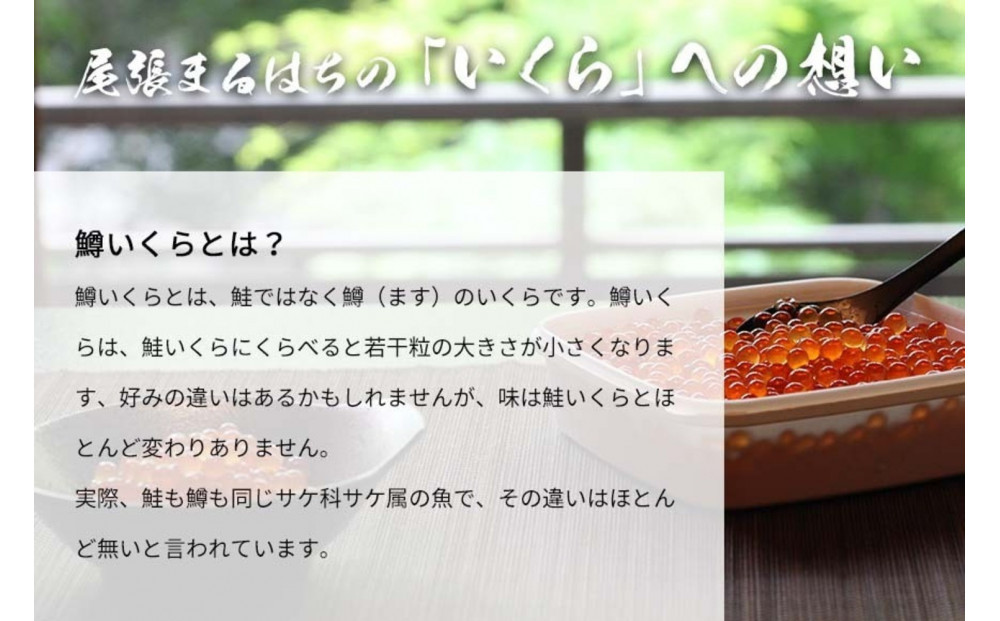 いくら 醤油漬け 500g(250g×2P)  小分け  鱒の卵 化粧箱入り 愛名古屋