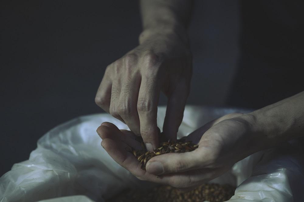 Y.MARKET BREWING  毎月6本【6カ月定期便】 定番・限定詰め合わせセット ギフトやプレゼントにも！ | ビール クラフトビール 地ビール 定期便 飲み比べ 詰め合わせ 限定醸造 人気 おすすめ ビールセット おしゃれ 家飲み パーティー 晩酌 ギフト プレゼント 送料無料