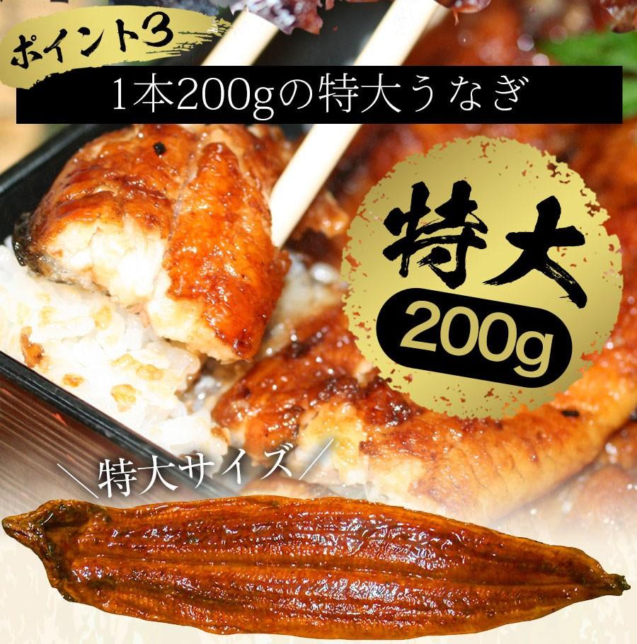 国産うなぎの蒲焼・白焼き豪華食べ比べセット（蒲焼2尾・白焼き2尾 計4尾）