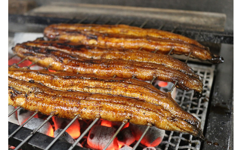 【全４回定期便】　国産うなぎひつまぶし　五食分　ねぎ・わさび・のり・お出汁・たれ・山椒　【炭火・職人手焼き】和食竜むら