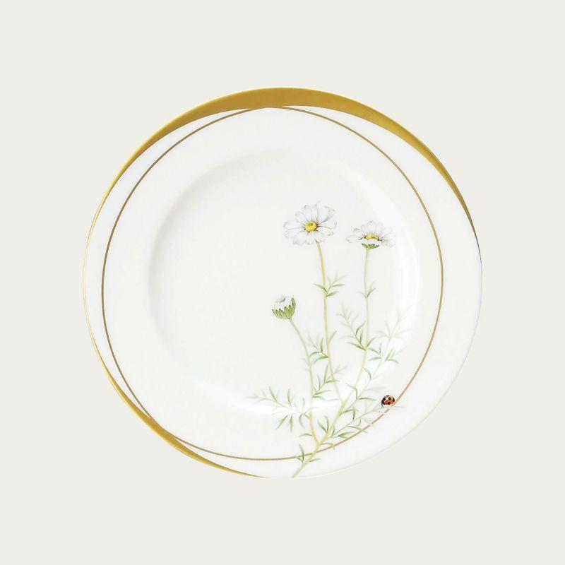 レディバグ　21cmプレートセット6枚　絵変り T772-16/N59811