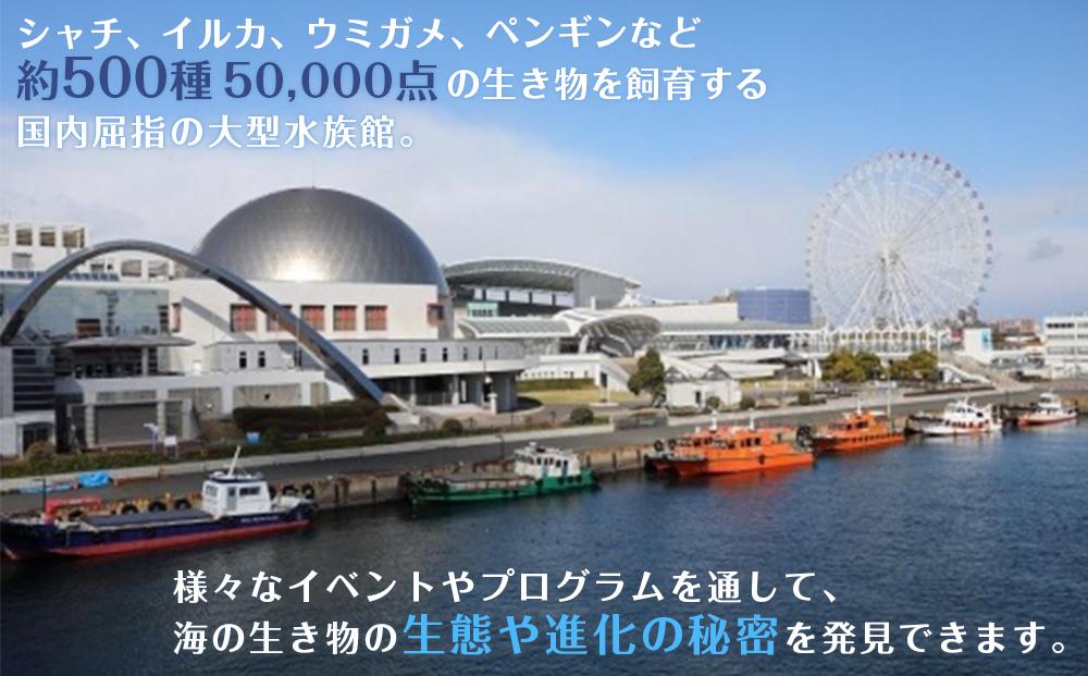 名古屋港水族館入館券（大人入館券２枚）: 名古屋市ANAのふるさと納税