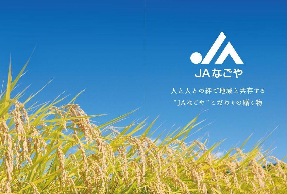 陽娘　あいちのかおり 5kg