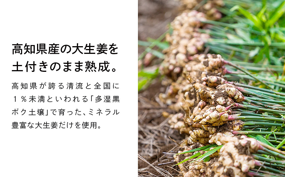 ReFa HEAT ON GINGER | リファ 飲料 ジンジャードリンク 美容 温活 冷え性 生姜