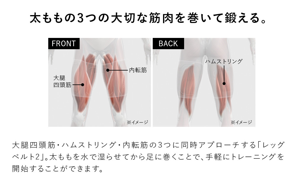 SIXPAD Leg Belt 2【S-Mサイズ】