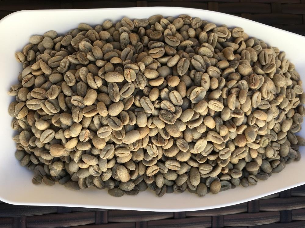 doctor coffee　珈琲豆　３袋