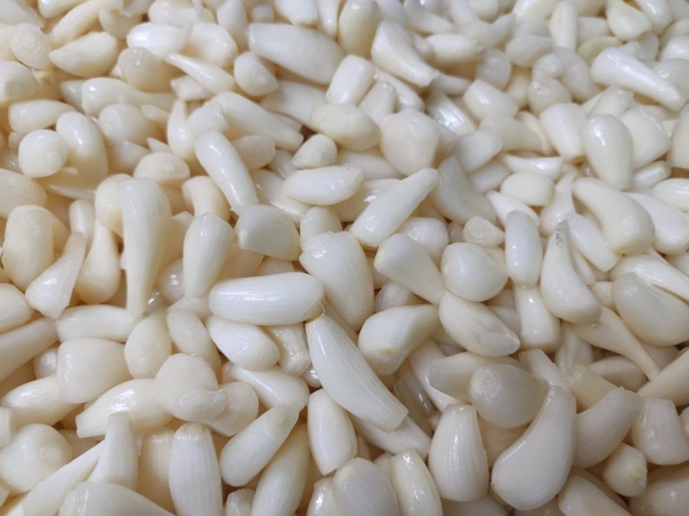 「す屋」特製 鳥取らっきょう甘酢漬け