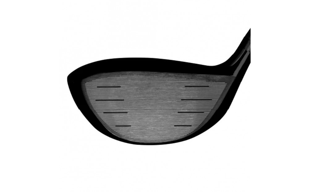 Zodia T309ドライバー　RODDIO社製Zodiaオリジナルシャフト　50S