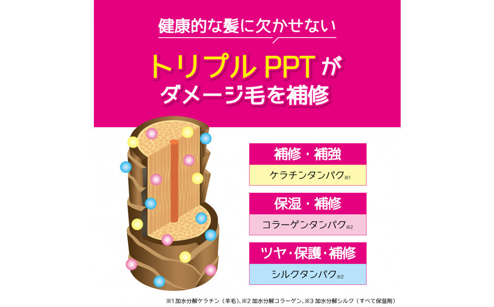 Tottimo! カラーシャンプー　シルバー　500ml