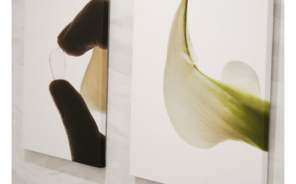 ブラックフィルム施術券(20本)