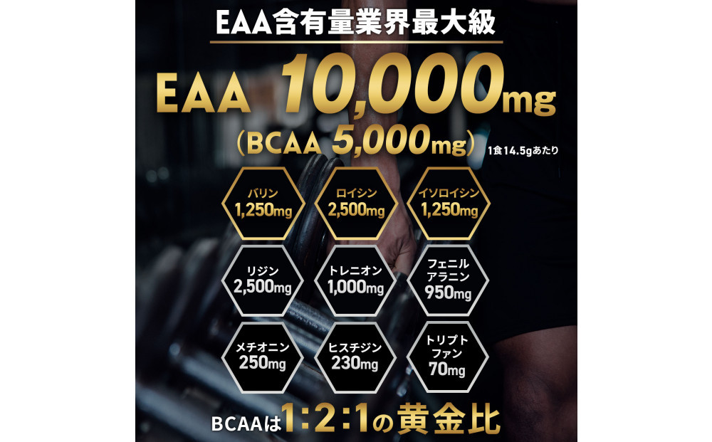 ハルクファクター EAA アセロラ風味 人工甘味料不使用 520g BCAA 国産 サプリメント