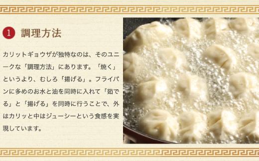 カリットギョウザ 生餃子48ケ【6人前】ジューシー ひとつひとつが大きい