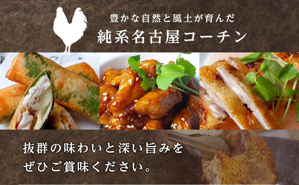 純系名古屋コーチン　豪華生肉セット