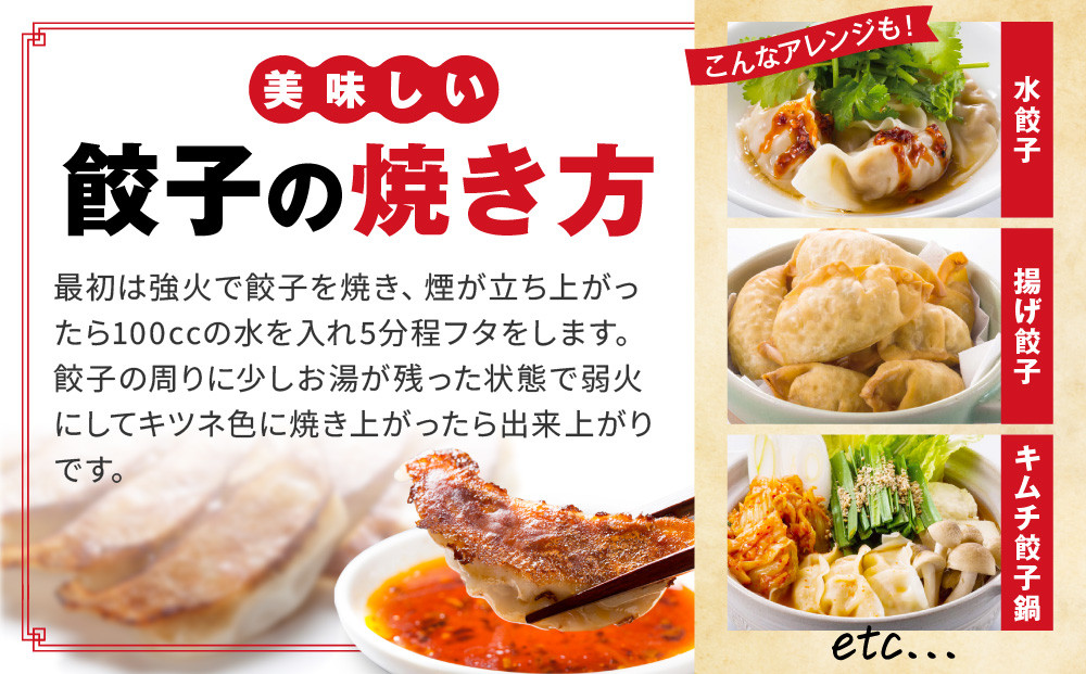 50年餃子　元祖肉餃子＆野菜増し肉餃子 各種40個入り