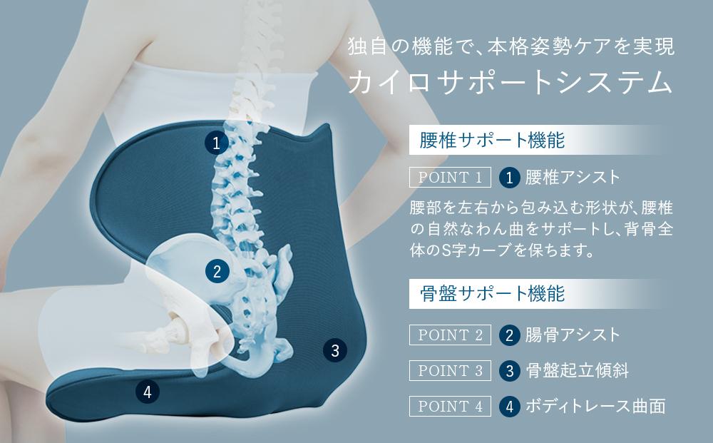 Style SMART【ブラック】