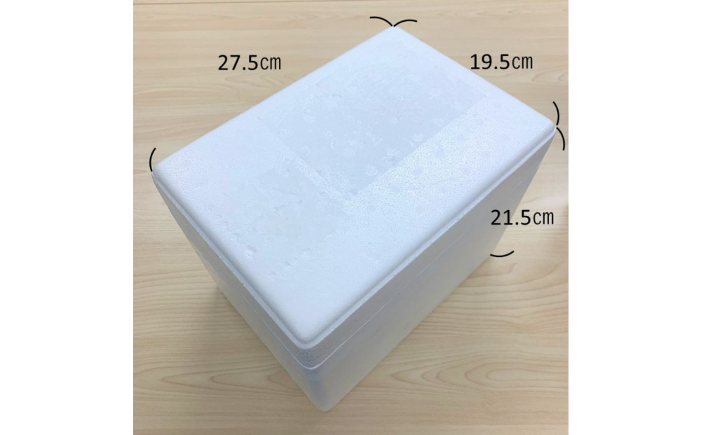 アイス ピスタチオ 11個 シンカンセンスゴイカタイアイス