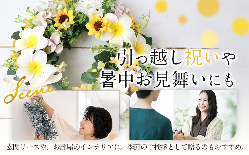季節のリース　プルメリア＆向日葵リース　インテリア　玄関リース　お見舞　お祝　プレゼント