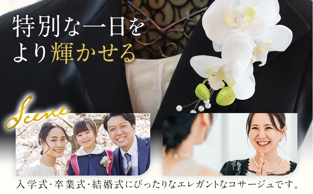 胡蝶蘭コサージュ ホワイト 入学式 卒業式 謝恩会 入園式 パーティ