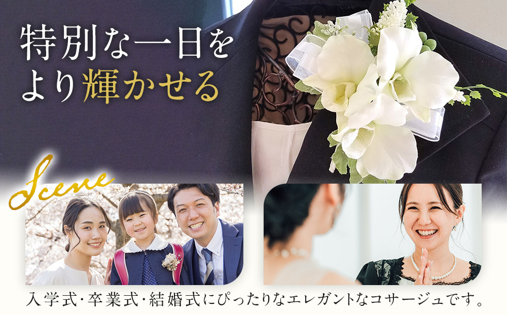 コサージュ　デンファレ　蘭　入学式　卒業式　パーティ　セミナー