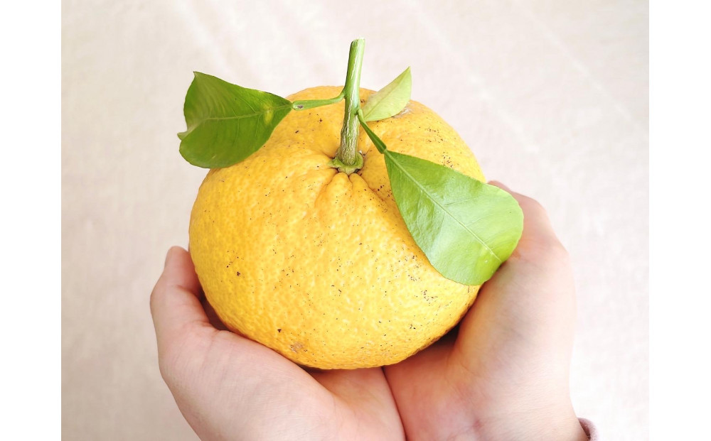 春姫と名古屋城 ルームフレグランスミスト