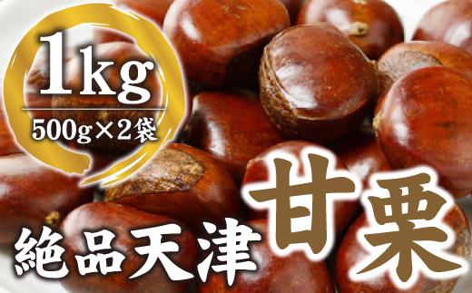 【10月下旬順次発送】職人が焼き上げる絶品天津甘栗1kg