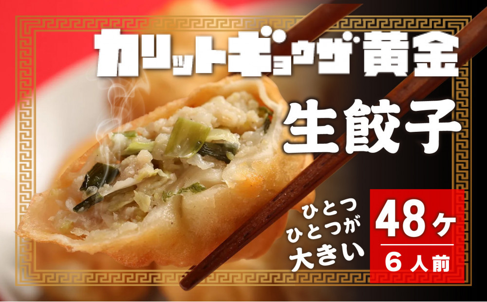 カリットギョウザ 生餃子48ケ【6人前】ジューシー ひとつひとつが大きい