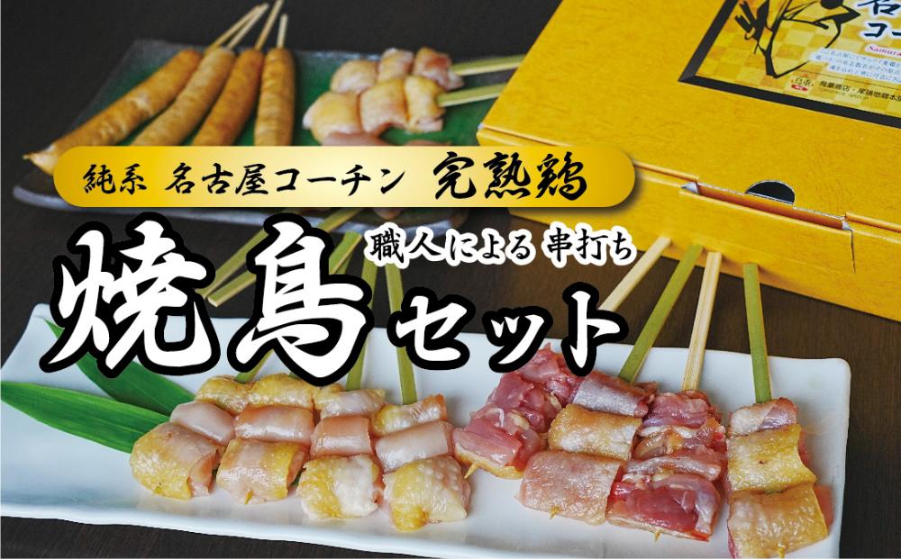 名古屋コーチン完熟鶏?の焼鳥