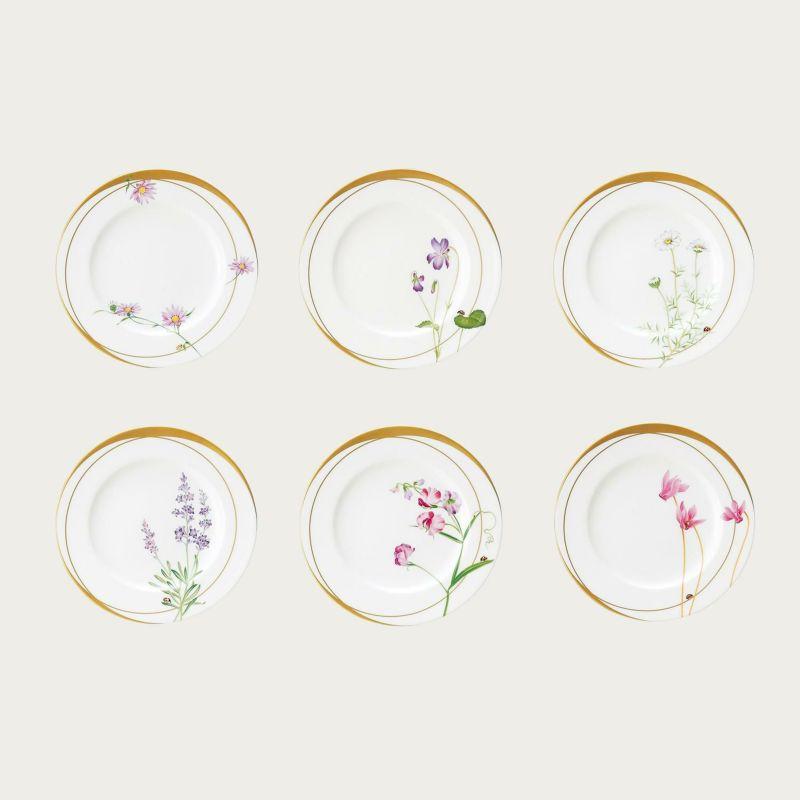 レディバグ　21cmプレートセット6枚　絵変り T772-16/N59811