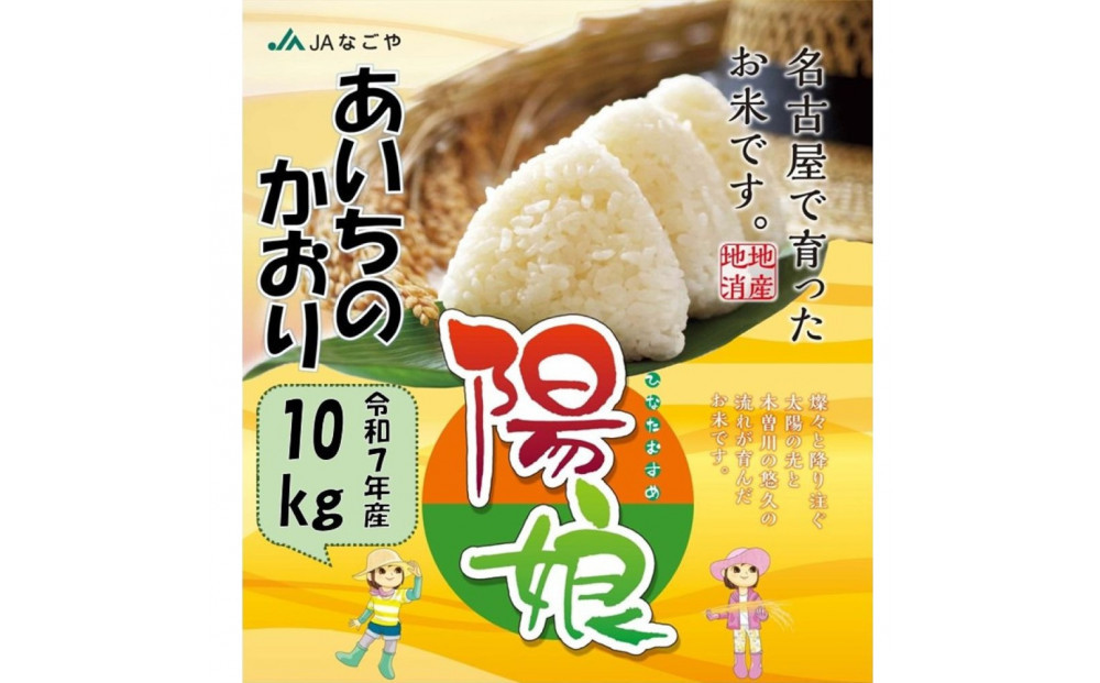 陽娘　あいちのかおり 10kg