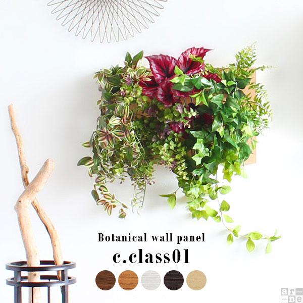 Botanical c.class 01　ブラウン