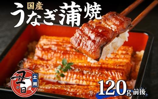 名古屋 うなぎのしら河 国産 鰻 蒲焼き 120g前後×1尾 タレ 山椒付 うなぎ ウナギ かばやき 鰻丼 うな重 鰻重  お中元 お歳暮 ギフト 送料無料 愛知県 名古屋市
