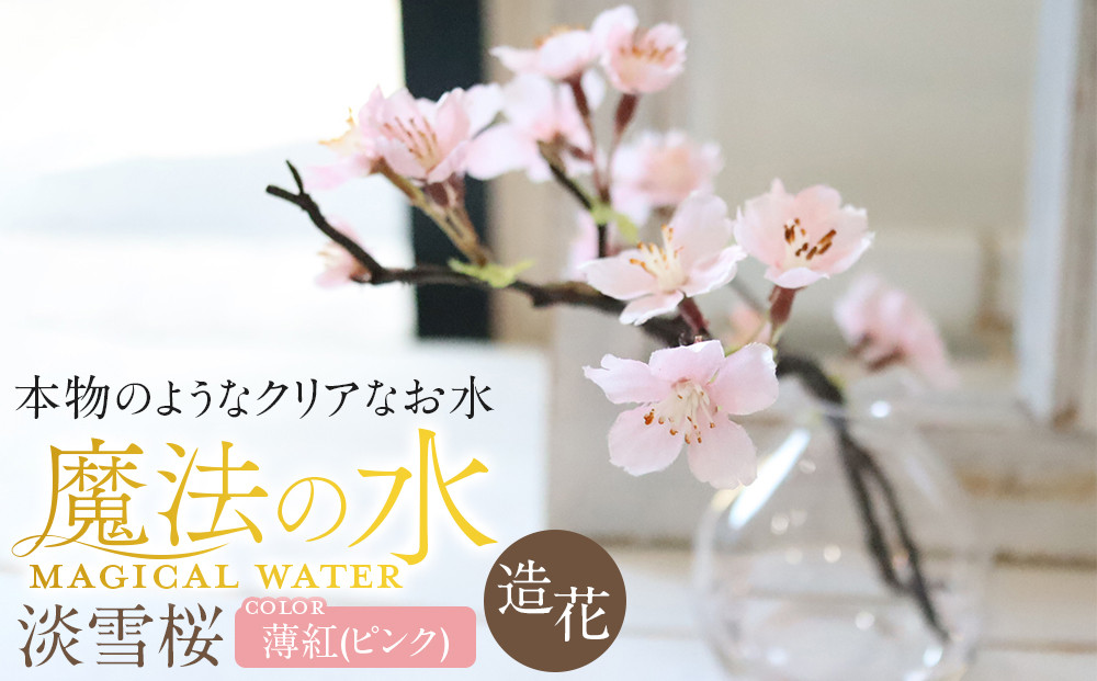 新春　淡雪桜　さくら　魔法の水　マジカルウォーター『薄紅』