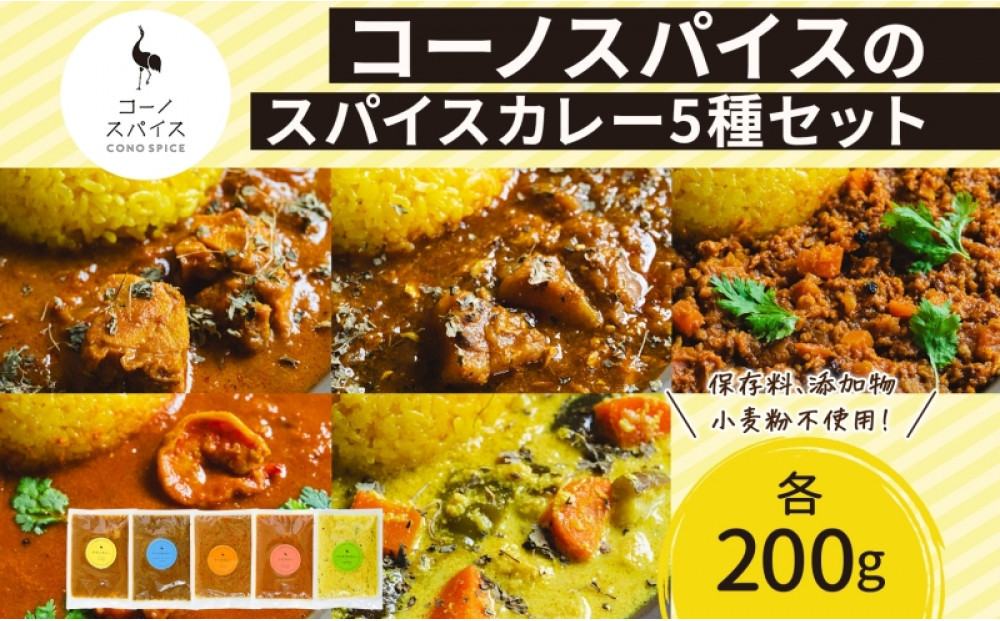 コーノスパイス スパイスカレー5種セット チキン サバと大根 キーマ エビ ベジタブル 各200gパック 小麦粉不使用 グルテンフリー CONO SPICE コーノコーラ 愛知県 名古屋市