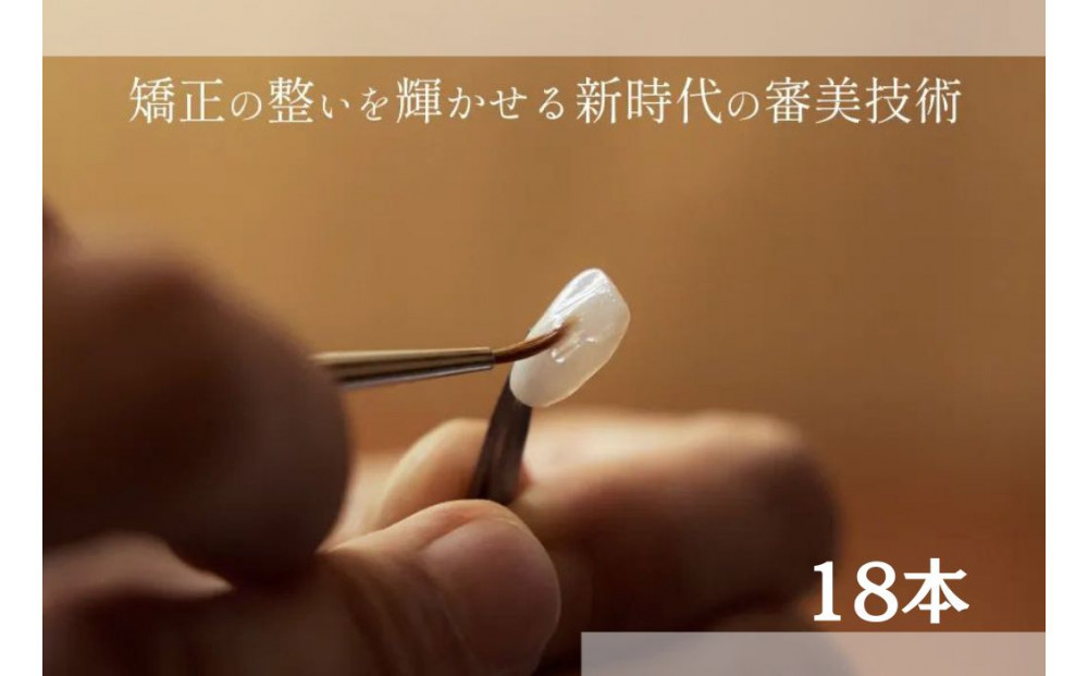 ブラックフィルム施術券(18本)