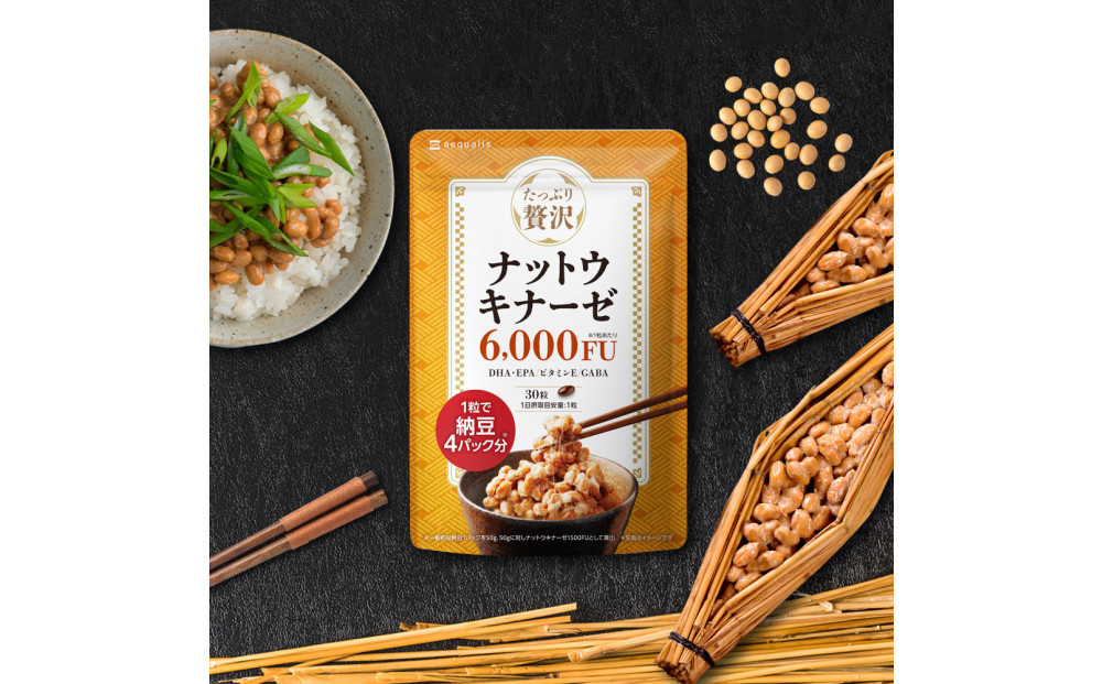 ナットウキナーゼ サプリメント たっぷり贅沢ナットウキナーゼ 1袋