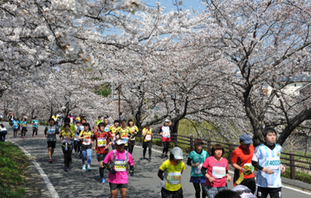 鈴木亜由子杯 穂の国・豊橋ハーフマラソン2025 エントリー権